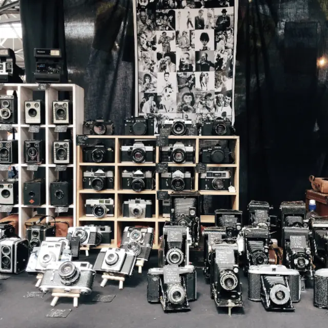 Art & Collections